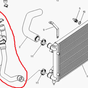 DURITE INFERIEURE DE RADIATEUR