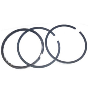 Jeu de segments YANMAR pièce voiture sans permis pas cher