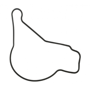 Joint torique pompe à huile LOMBARDINI FOCS PROGRESS