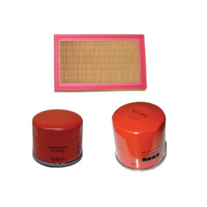 Kit entretien Lombardini Focs avant 2004 Grossiste pas cher