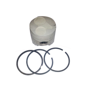 Piston standard avec segments Aixam kubota Z402 origine