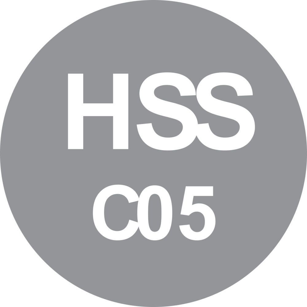 FRAISE-SCIE VAPO HSS-CO5 315X2,5X32 T6 Z=160 INOX T.E. 2/8/45+2/11/63 - 122CO5.316.2532 - LEMAN – Image 4