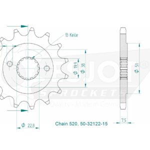 Pignon - 520 - 15 Dents - Made in Germany