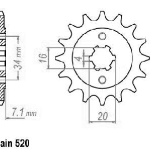 Pignon - 520 - 13 Dents - Made in Germany