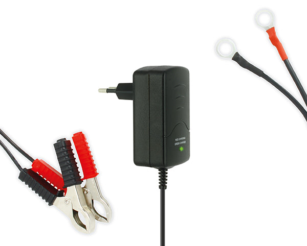 Chargeur Batterie Moto et Scooter - Pour Batterie Acide