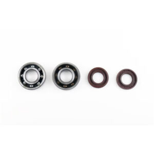 Kit Révision Vilebrequin Spy + Roulements SKF