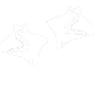 Kit De Protection Transparent Pour Plastiques - YZ 125