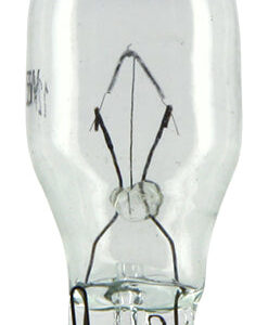 Ampoule Blanche 15W T15 - 1 paquet (10 pcs)