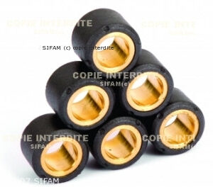 Kit Galets de Variateur x8 Ø28x20 - 26g