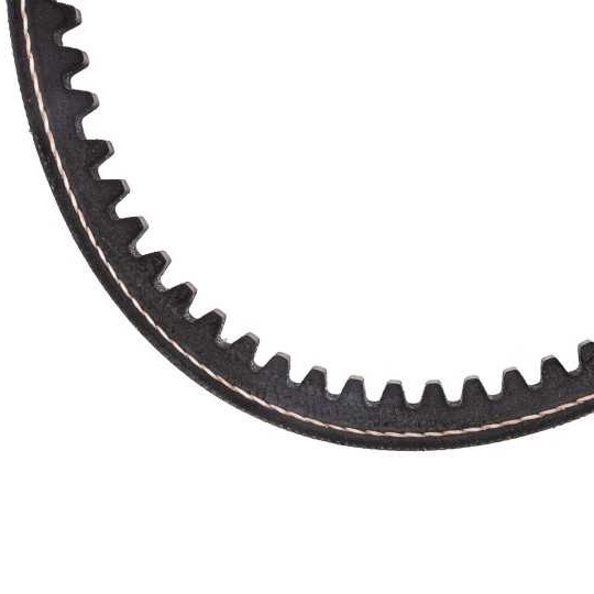 COURROIE ALTERNATEUR - 750MM - CHATENET MEDIA STELLA BAROODER CH26, LIGIER AMBRA – Image 2