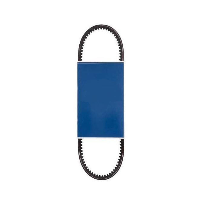 COURROIE ALTERNATEUR - 750MM - CHATENET MEDIA STELLA BAROODER CH26, LIGIER AMBRA – Image 3