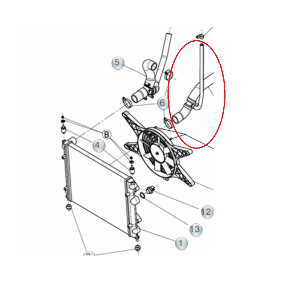 DURITE INFERIEURE DE RADIATEUR - LIGIER XTOO R XTOO S XTOO RS JS50 JS50L JS60 IXO OPTIMAX 2, MICROCAR CARGO MGO 3 MGO 4, DUE 2 DUE 3 DUE 6, CHATENET CH26, JDM A – Image 2