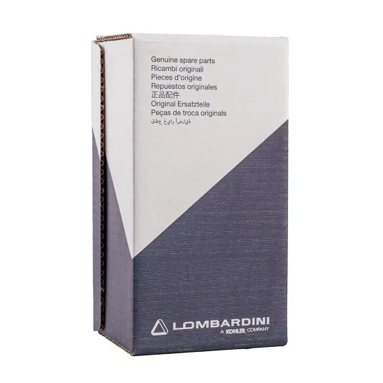 FILTRE A AIR ORIGINE - MOTEUR LOMBARDINI PROGRESS DCI 442 DCI 492 HDI 480 MPI 523, YANMAR 2TNE68 – Image 3