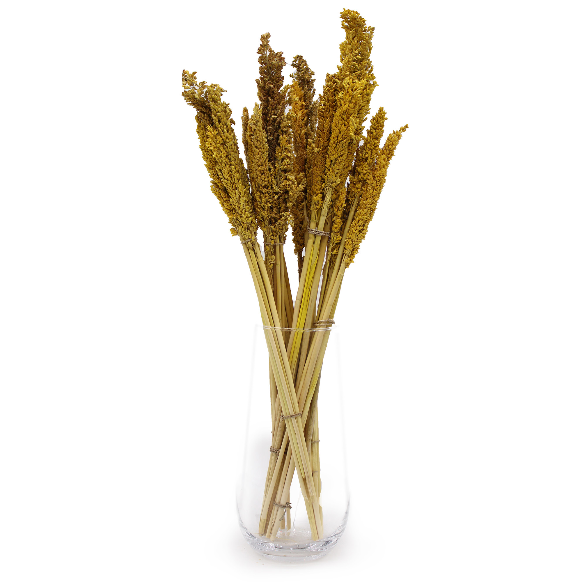 Bouquet d'herbes du Cantal - Ambre- Vendu par 6 – Image 3