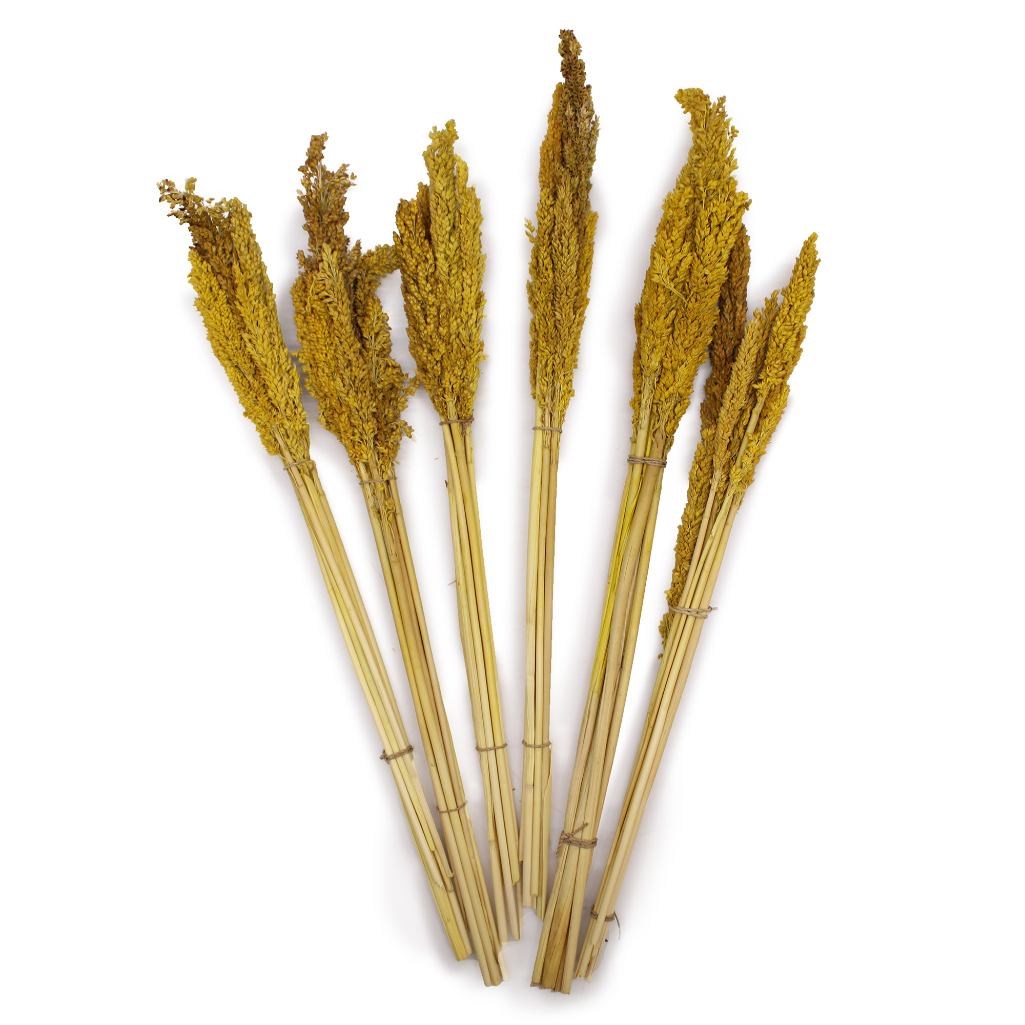 Bouquet d'herbes du Cantal - Ambre- Vendu par 6 – Image 2