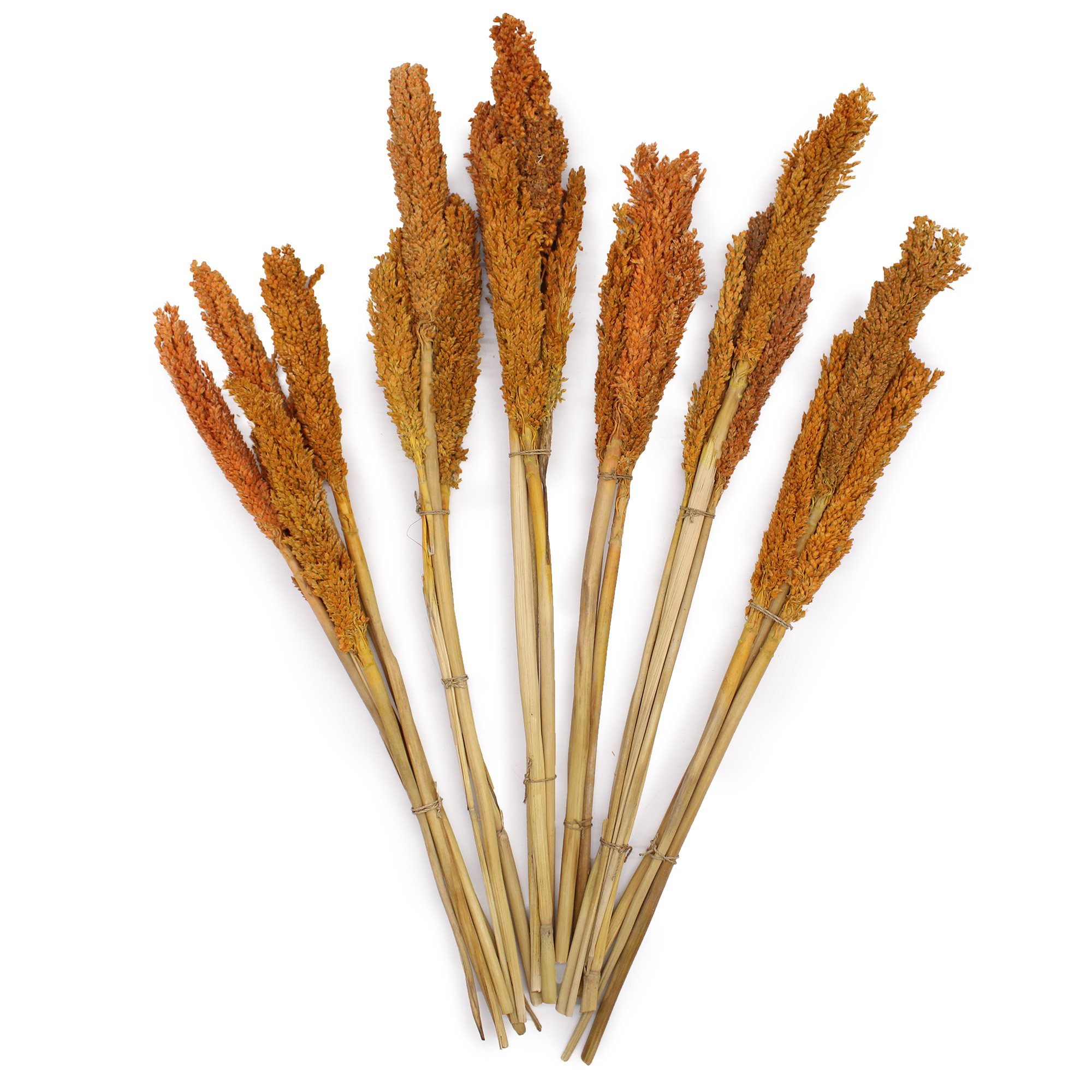 Bouquet d'herbes du Cantal - Orange- Vendu par 6 – Image 2