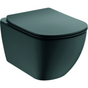 Cuvette et abattant - IDEAL STANDARD - p 53,5 x l 37 cm - Ideal Standard