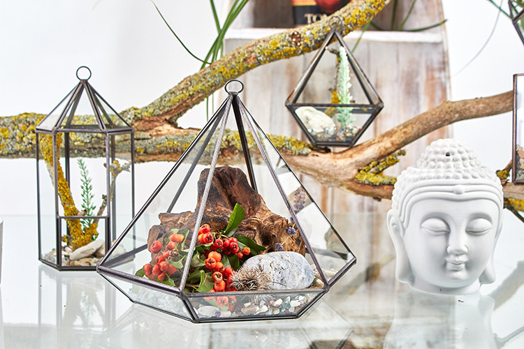 Terrarium en Verre - Grande Pyramide- Vendu par 1 – Image 3