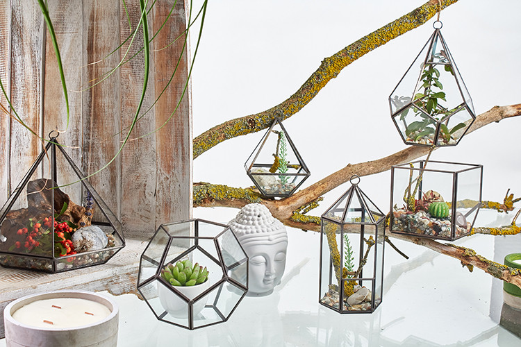 Terrarium en Verre - Grande Pyramide- Vendu par 1 – Image 4