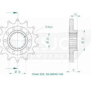 Pignon Lightweight BMW - 525 - 14 Dents - Made in Germany