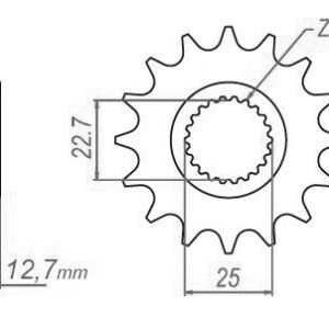 Pignon Polaris - 520 - 13 Dents - Similaire JTF3221 - Made in Germany