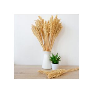 Bouquet d'herbes du Cantal - Naturel- Vendu par 6