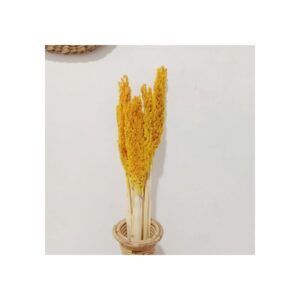 Bouquet d'herbes du Cantal - Ambre- Vendu par 6