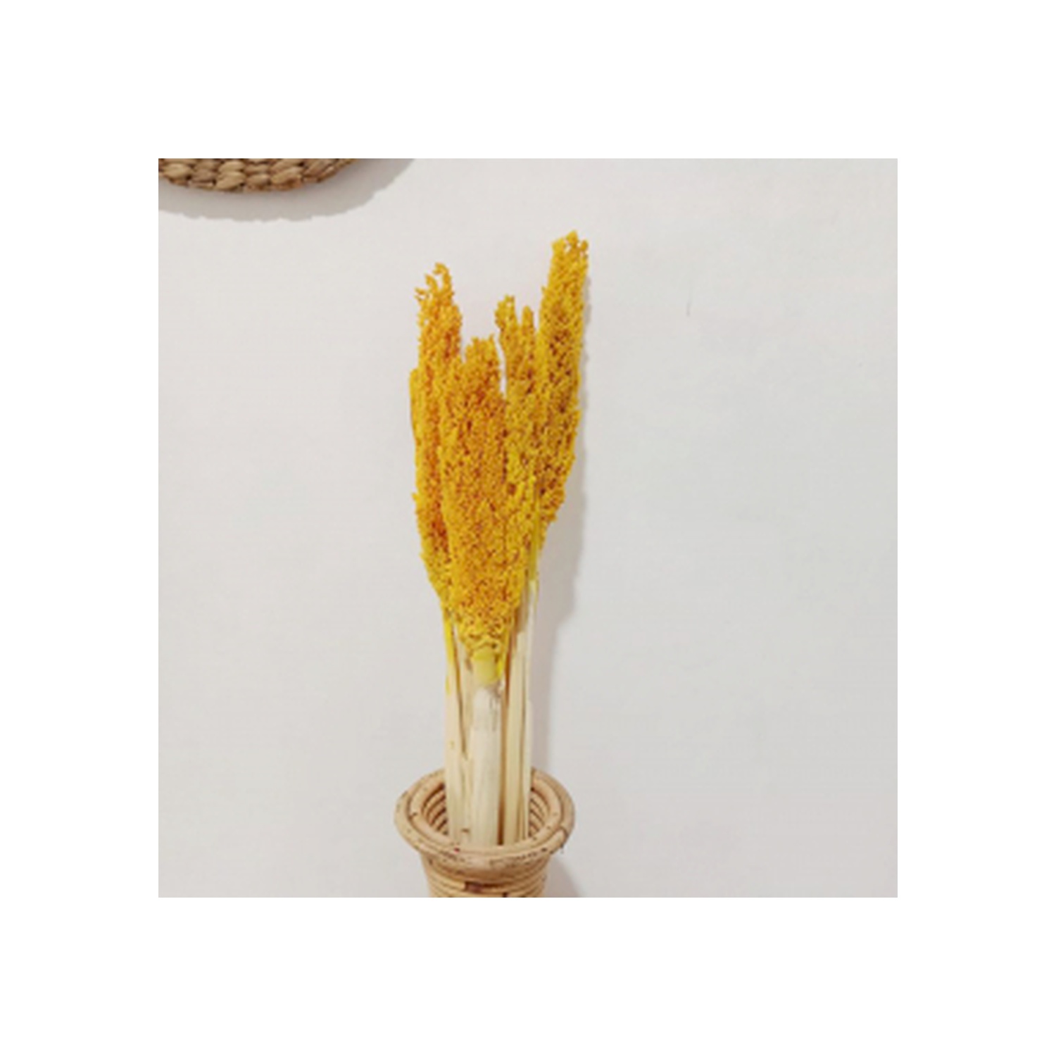 Bouquet d'herbes du Cantal - Ambre- Vendu par 6
