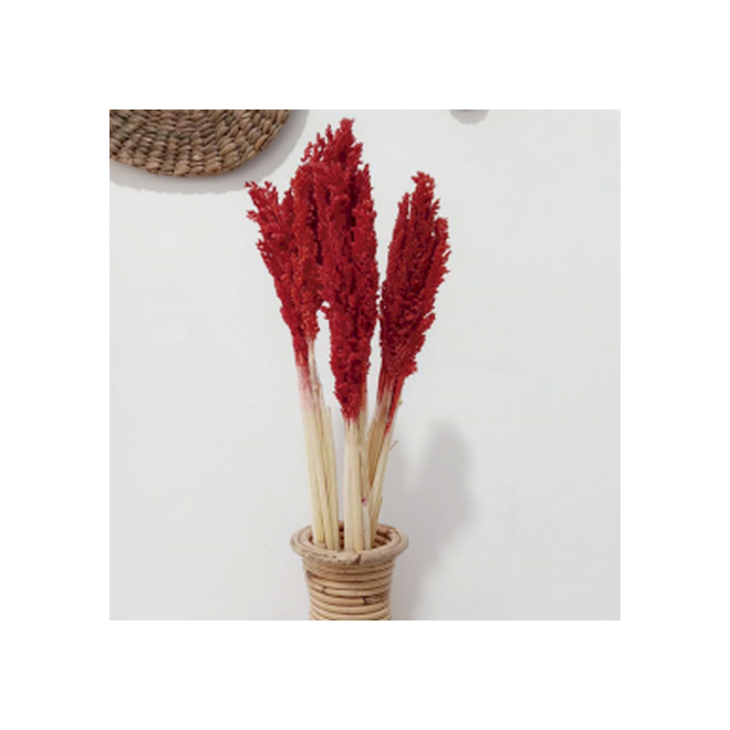 Bouquet d'herbes du Cantal - Feu- Vendu par 6