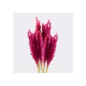 Bouquet d'herbes du Cantal - Rose- Vendu par 6