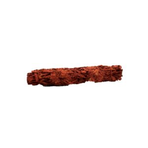 Smudge Stick - Sauge Sanglante des Dragons 22,5 cm- Vendu par 1