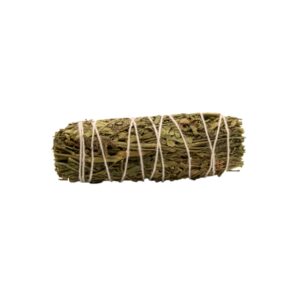 Bâton de maculage - Sauge Ruda 10cm- Vendu par 1