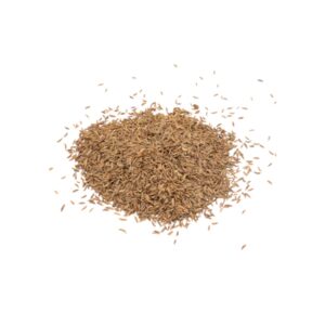 Carvi (grain) 1Kg- Vendu par 1