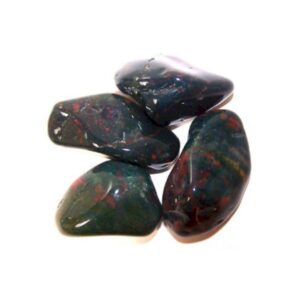 Paquet de 24 Bloodstone L (grade B)- Vendu par 1