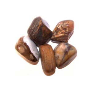 Pack de 24 M TumbMe Stone - Bois Pétrifié- Vendu par 1