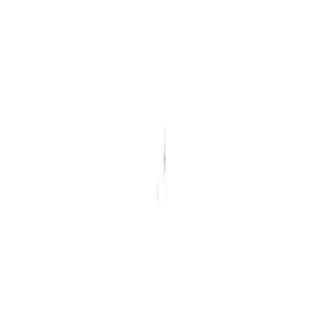RIDEAU PORTIE ANTIL CRISTAL 9X22