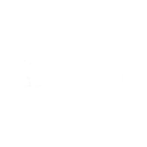 RIDEAU PORTIE TAHITI CRISTAL 9X22