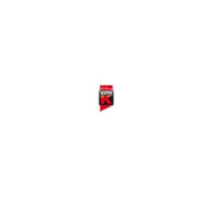 AUTO STD 150ML 33037 ARGENT JANTES