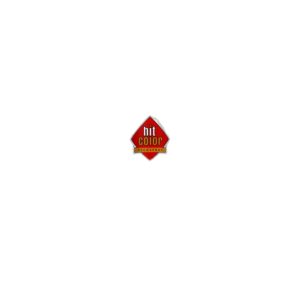 HIT COLOR ROUGE FEU 600 ML