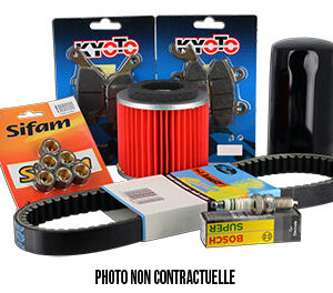 Kit Révision LUDIX Etrier AJP 2004-2012