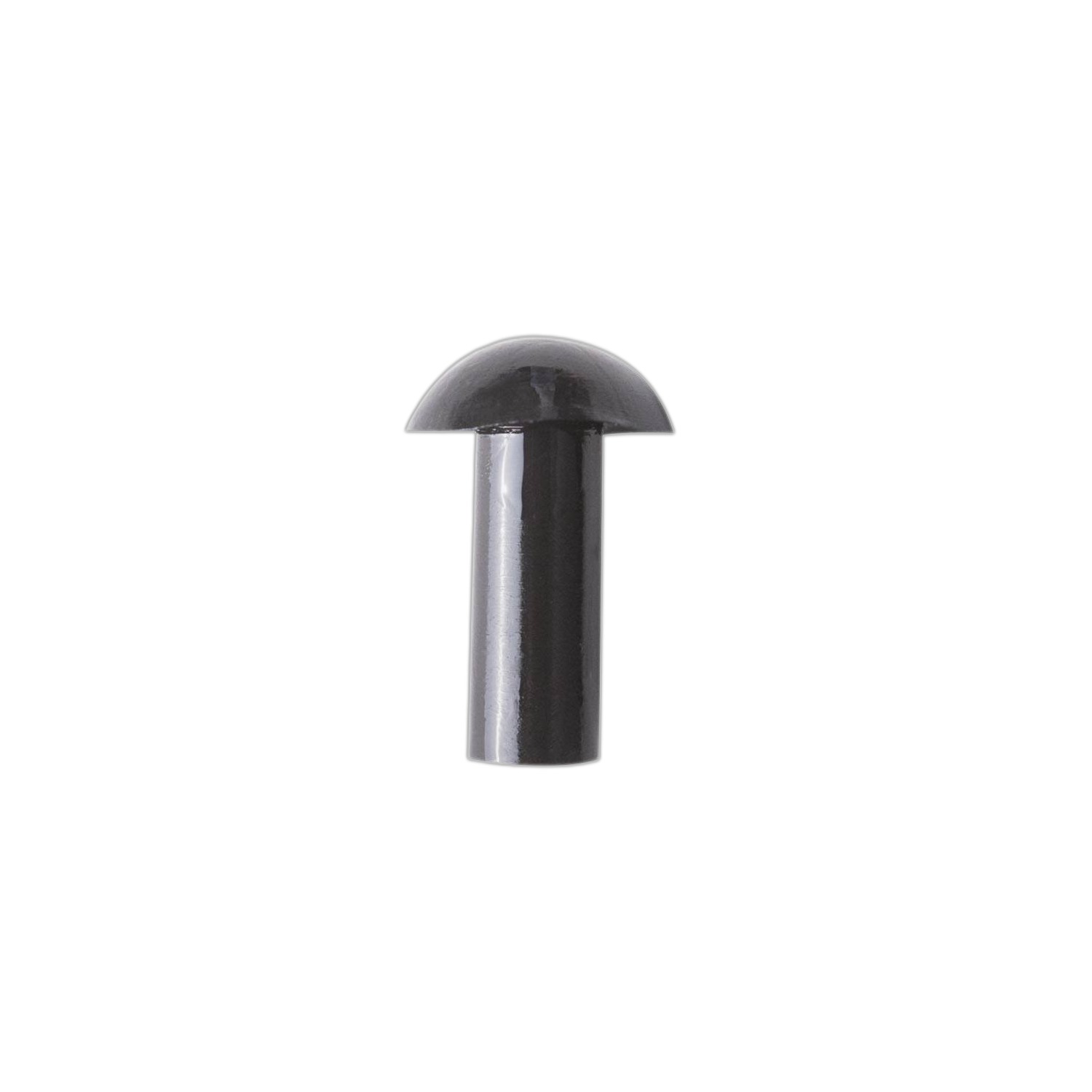50 champignons ø8mm + lubrifiant pour pistolet SA 0260 (réparation roues) - SA 0257 - CLAS Equipements