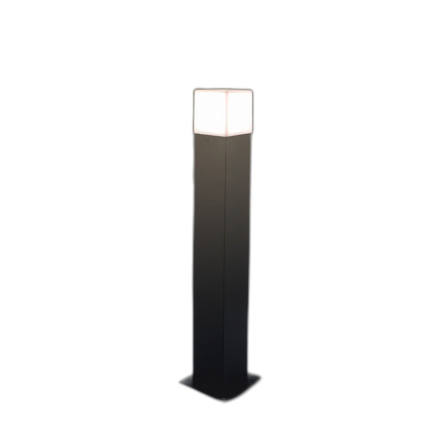 Balise Design Plus - Ledme - LM7313 – Image 2