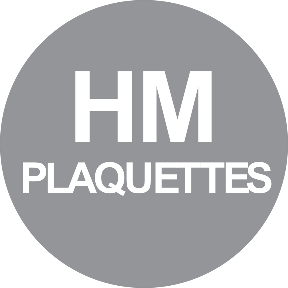MECHE AFFLEUR. 2 PLAQUETTES CHANFR. 30° D26 Q8/RLT HM - 828.730.00 - LEMAN – Image 4