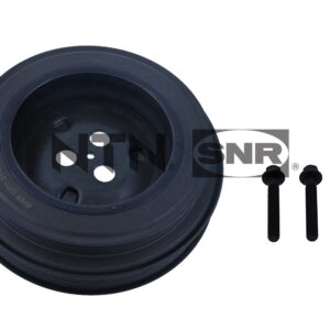 Dampers - DPF352.12K1 - SNR - Compatible avec véhicule Ford, Peugeot, Citroen, Fiat
