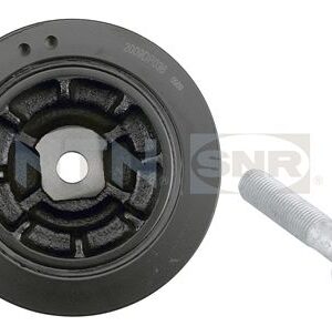 Dampers - DPF355.12K1 - SNR - Compatible avec véhicule Renault