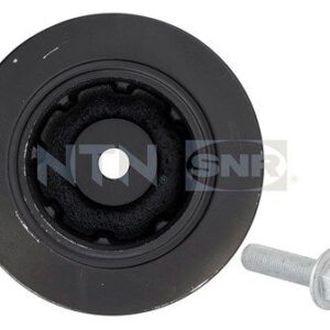 Dampers - DPF355.17K1 - SNR - Compatible avec véhicule Renault