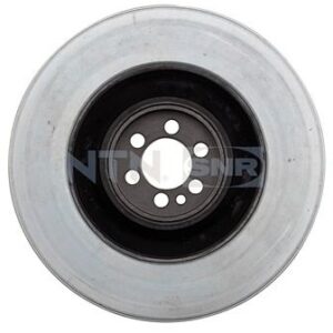 Dampers - DPF358.21 - SNR - Compatible avec véhicule Alfa Romeo, Fiat, Lancia
