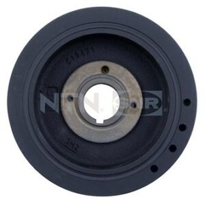 Dampers - DPF359.12 - SNR - Compatible avec véhicule Peugeot, Citroen