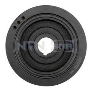 Dampers - DPF359.24 - SNR - Compatible avec véhicule Peugeot, Citroen