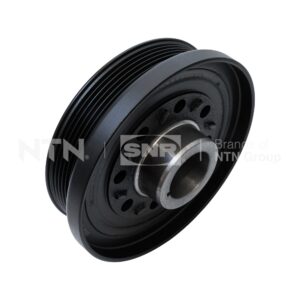 Dampers - DPF384.00 - SNR - Compatible avec véhicule Kia, Hyundai